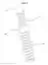 Fig. 06 - Check valve