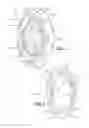 Fig. 04 - HYBRID COOLANT PUMP