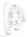 Fig. 09 - HYBRID COOLANT PUMP