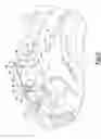 Fig. 03 - Flywheel and dual clutch module assembly