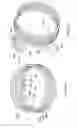 Fig. 24 - Clutch assembly
