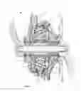 Fig. 02 - Continuously variable transmission