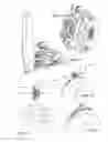 Fig. 09 - Continuously variable transmission