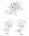 Fig. 03 - ECO lubrication method for a transfer case