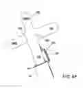 Fig. 20 - Folded sheets of material for use as a structural member and assembly thereof