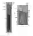 Fig. 03 - Electric lighting devices
