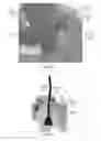 Fig. 23 - Electric lighting devices