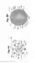 Fig. 07 - Decorative lighting with reinforced wiring