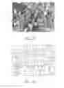 Fig. 03 - BIOMASS COMBUSTION