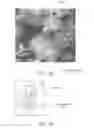 Fig. 05 - BIOMASS COMBUSTION
