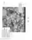 Fig. 06 - BIOMASS COMBUSTION