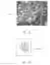 Fig. 07 - BIOMASS COMBUSTION