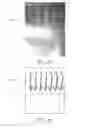 Fig. 08 - BIOMASS COMBUSTION