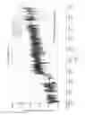 Fig. 11 - BIOMASS COMBUSTION