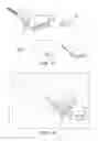 Fig. 12 - Snow making method and apparatus