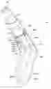 Fig. 01 - Single shot firearm