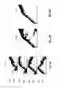 Fig. 27 - System and method for generating a wide-field OCT image of a portion of a sample