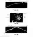 Fig. 32 - System and method for generating a wide-field OCT image of a portion of a sample