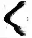 Fig. 42 - System and method for generating a wide-field OCT image of a portion of a sample