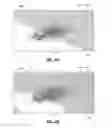 Fig. 54 - System and method for generating a wide-field OCT image of a portion of a sample