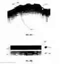 Fig. 55 - System and method for generating a wide-field OCT image of a portion of a sample