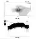 Fig. 57 - System and method for generating a wide-field OCT image of a portion of a sample