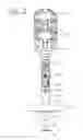 Fig. 03 - Removable magnetostrictive probe with automatic calibration
