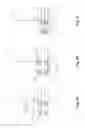 Fig. 04 - Apparatus and Method for Sterilization and Organization of a Tamper Resistant Lock and Receptacle