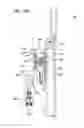 Fig. 26 - Robotic end effector for frozen aliquotter and methods of taking a frozen aliquot from biological samples