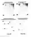 Fig. 23 - Hematology systems and methods