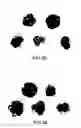 Fig. 26 - Hematology systems and methods