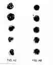 Fig. 59 - Hematology systems and methods