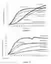 Fig. 13 - Poly(methyl methacrylate)-supported polydiacetylene films as colorimetric and/or fluorescent detectors