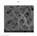 Fig. 08 - Composite metal oxide materials including polycrystalline nanofibers, microparticles, and nanoparticles, gas sensors using the same as a sensing material thereof, and manufacturing methods thereof