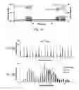 Fig. 19 - Methods and apparatus for trapping and size resolution of nanoparticles and nanobubbles