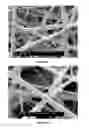 Fig. 02 - Core-shell nanofiber-based sensors