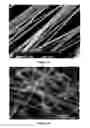 Fig. 03 - Core-shell nanofiber-based sensors
