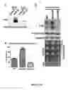 Fig. 05 - CELLULAR DISCOVERY PLATFORM FOR NEURODEGENERATIVE DISEASES