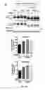 Fig. 16 - CELLULAR DISCOVERY PLATFORM FOR NEURODEGENERATIVE DISEASES