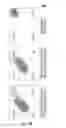 Fig. 29 - CELLULAR DISCOVERY PLATFORM FOR NEURODEGENERATIVE DISEASES