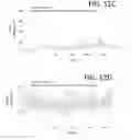 Fig. 16 - Devices and methods comprising neuromuscular junctions