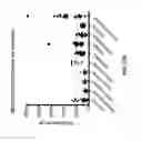Fig. 85 - BIOMARKER COMPOSITIONS AND MARKERS