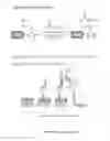 Fig. 16 - Biosensor microarray compositions and methods