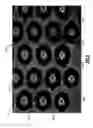 Fig. 09 - Lateral flow assay device