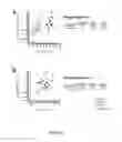Fig. 09 - SYSTEMS AND METHODS FOR FACILITATING DIAGNOSIS, PROGNOSIS AND TREATMENT OF CANCER BASED ON DETECTION OF HER3 ACTIVATION