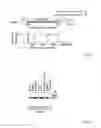 Fig. 03 - ANTIBODIES AGAINST ACTIN-BINDING PROTEIN GIRDIN AND METHODS OF MAKING AND USING THE SAME