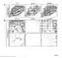Fig. 16 - ANTIBODIES AGAINST ACTIN-BINDING PROTEIN GIRDIN AND METHODS OF MAKING AND USING THE SAME