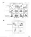 Fig. 25 - ANTIBODIES AGAINST ACTIN-BINDING PROTEIN GIRDIN AND METHODS OF MAKING AND USING THE SAME