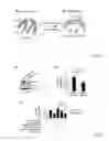 Fig. 28 - ANTIBODIES AGAINST ACTIN-BINDING PROTEIN GIRDIN AND METHODS OF MAKING AND USING THE SAME
