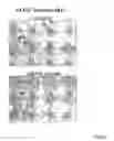 Fig. 31 - ANTIBODIES AGAINST ACTIN-BINDING PROTEIN GIRDIN AND METHODS OF MAKING AND USING THE SAME